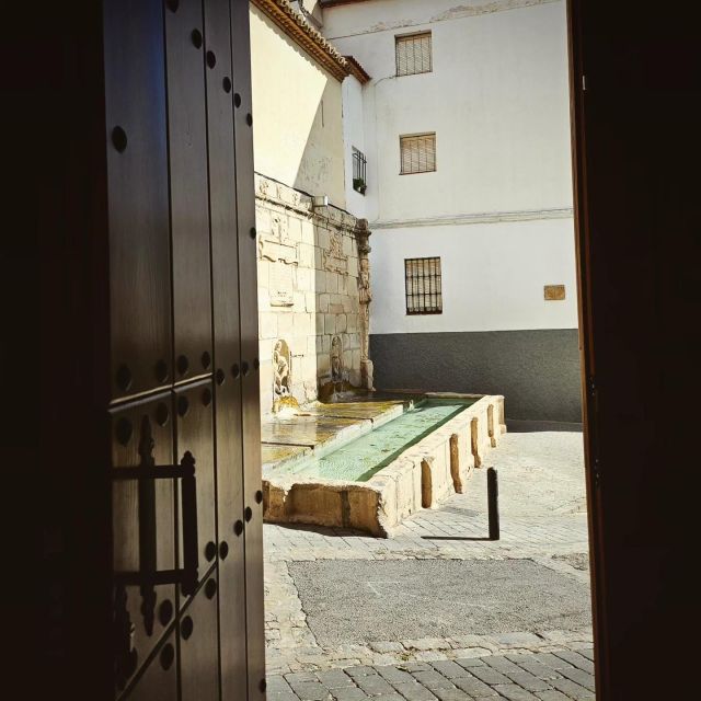 Jaén: Tour, Cathedral, Arch San Lorenzo and Jewish Quarter - Good To Know