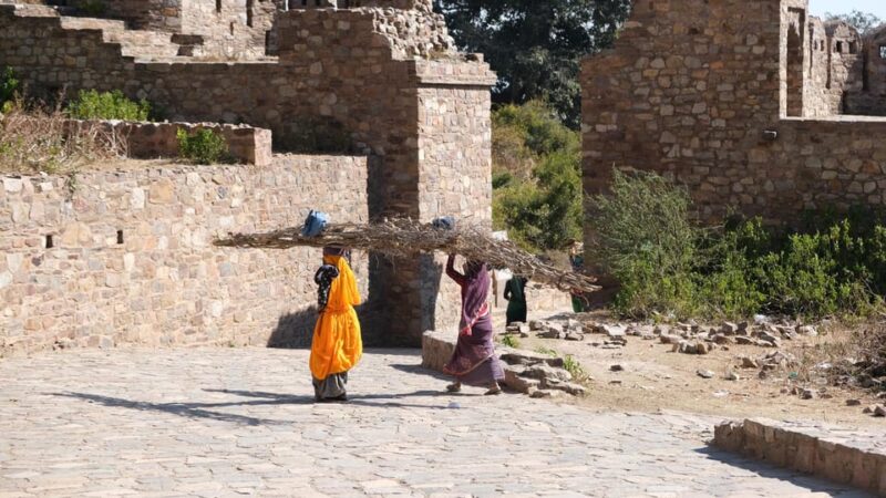 Jaipur: Deepest Step Well in India & Haunted Fort Day Trip - Discovering Chand Baori