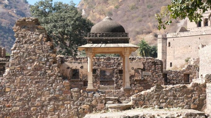 Jaipur: Deepest Step Well in India & Haunted Fort Day Trip - Tour Inclusions