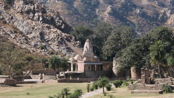 Jaipur: Deepest Step Well in India & Haunted Fort Day Trip - Important Travel Information