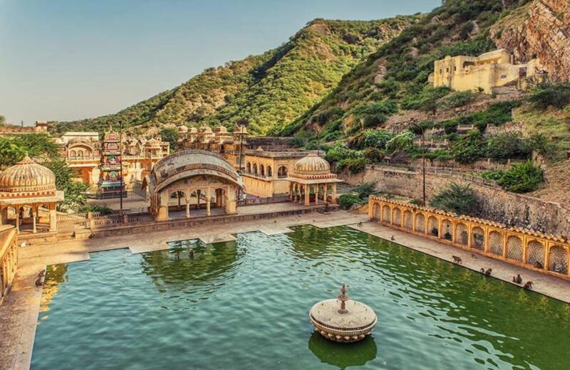 Jaipur: Full Day or Half Day Private Tour - Pricing and Booking Information