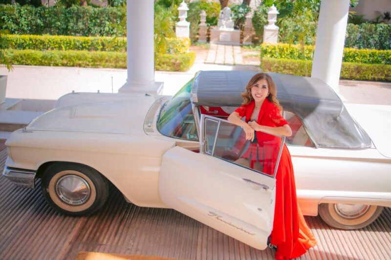 Jaipur: Luxury Jaipur Highlight Day Tour by Car - Key Points