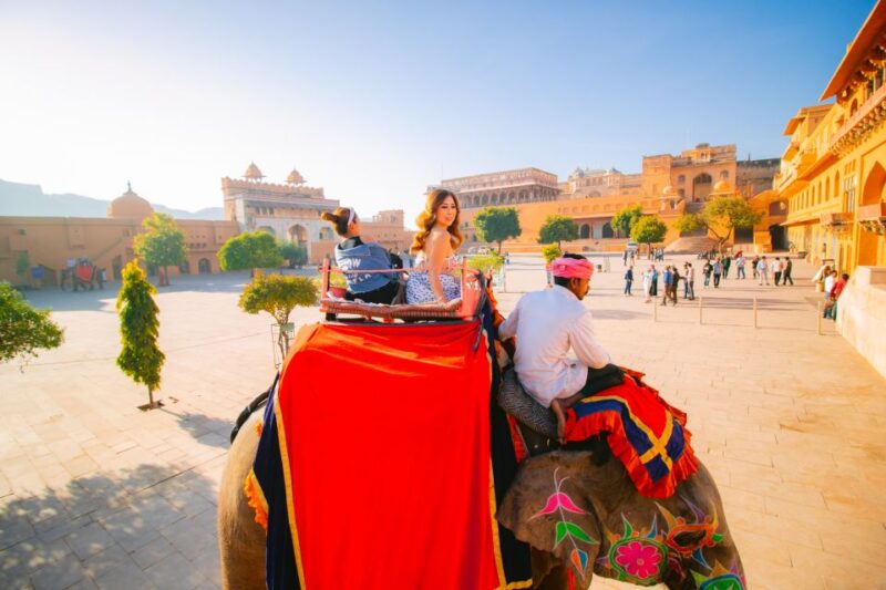 Jaipur: Luxury Jaipur Highlight Day Tour by Car - Experience and Highlights