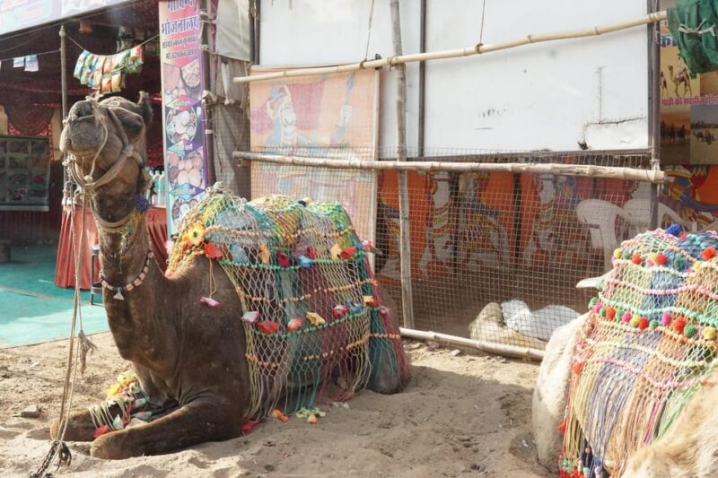 Jaipur to Pushkar Same Day Tour With Pickup & Dropoff - What to Bring