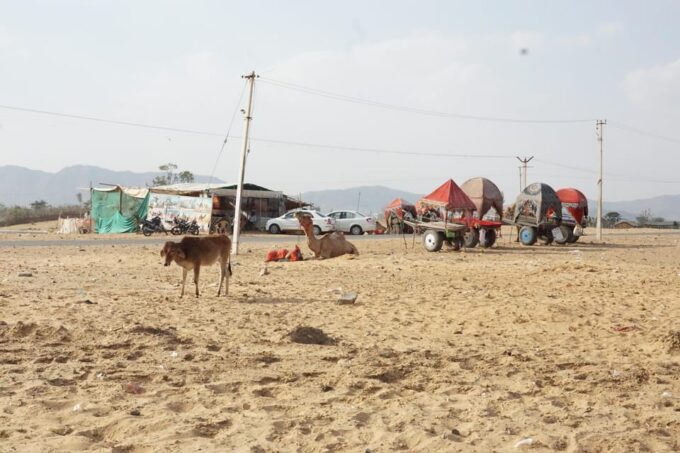 Jaipur to Pushkar Same Day Tour With Pickup & Dropoff - The Sum Up