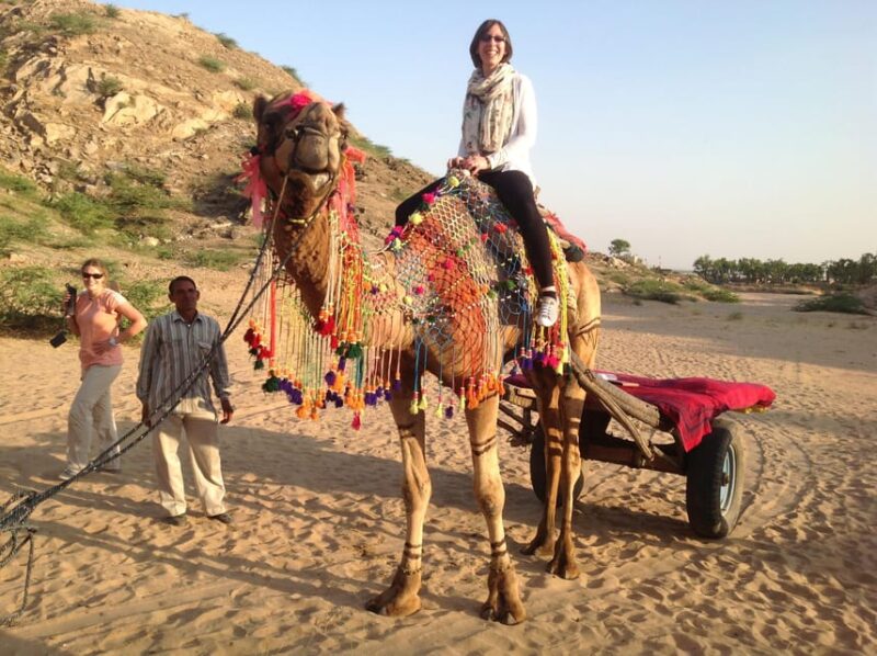 Jaipur: Tribal Villages, Lakes, and Sand Dunes Day Tour - Trip Inclusions