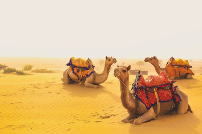 Jaisalmer: 2-Day Thar Desert Experience - Included Services