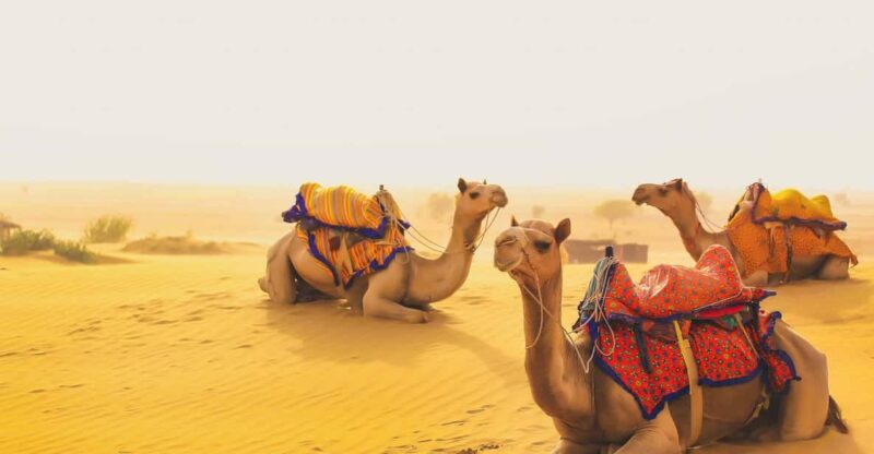 Jaisalmer: 2-Day Thar Desert Experience - Patwon Ki Haveli