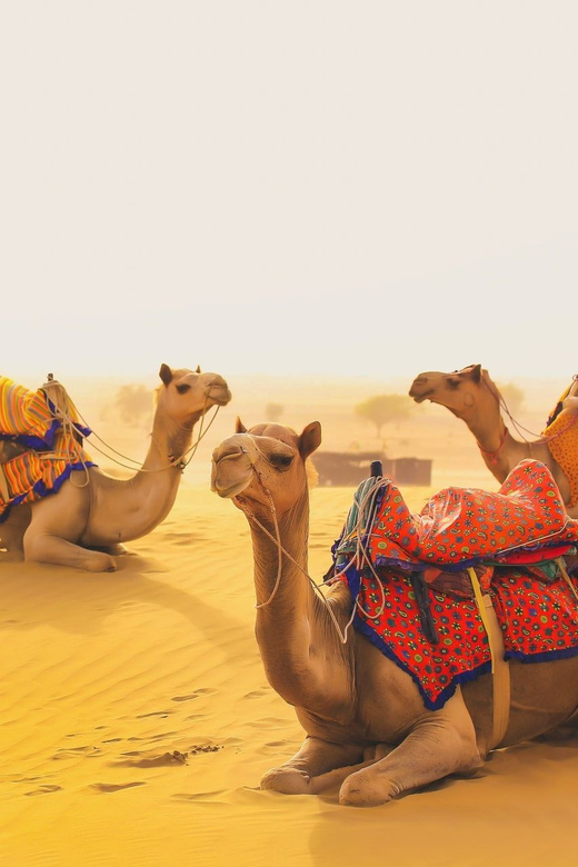 Jaisalmer Camping With Desert Safari Tour 3d/2n - Inclusions