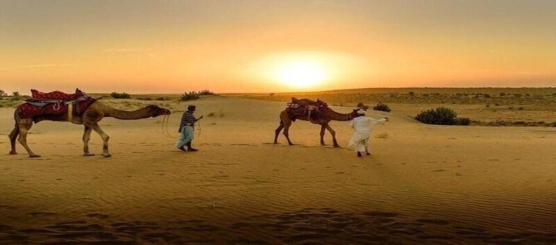Jaisalmer: Private Full-Day City Sightseeing Guided Tour - Cultural Highlights