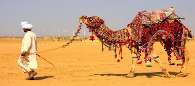 Jaisalmer: Private Full-Day City Sightseeing Guided Tour - Pricing and Booking