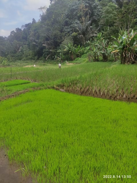 Jakarta: Active Volcano, Waterfall &Beautiful Local Village - Inclusions and Exclusions