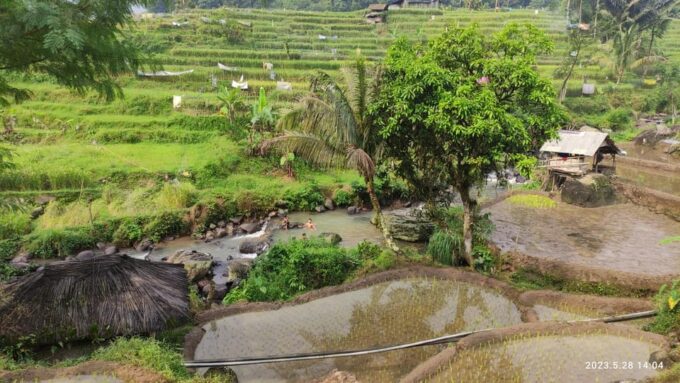 Jakarta: Active Volcano, Waterfall &Beautiful Local Village - Traveler Reviews