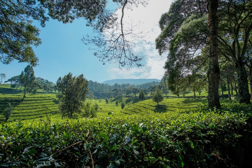 Jakarta: Bandung Volcano Day Tour - Highlights