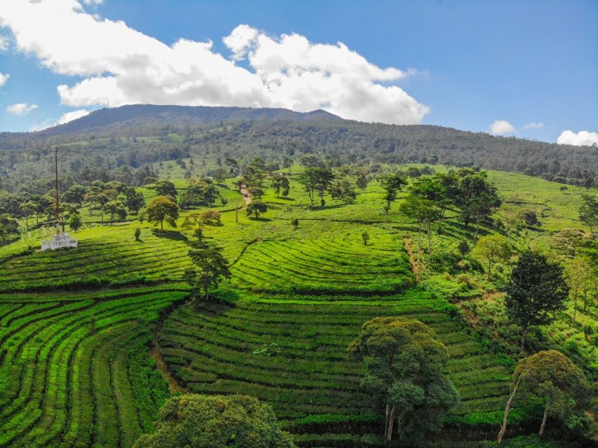 Jakarta: Bandung Volcano Day Tour - Booking Details