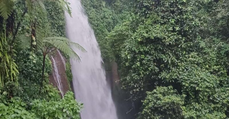 Jakarta Bogor Botanical Garden, Waterfall and Rice Terrace - Transportation and Logistics