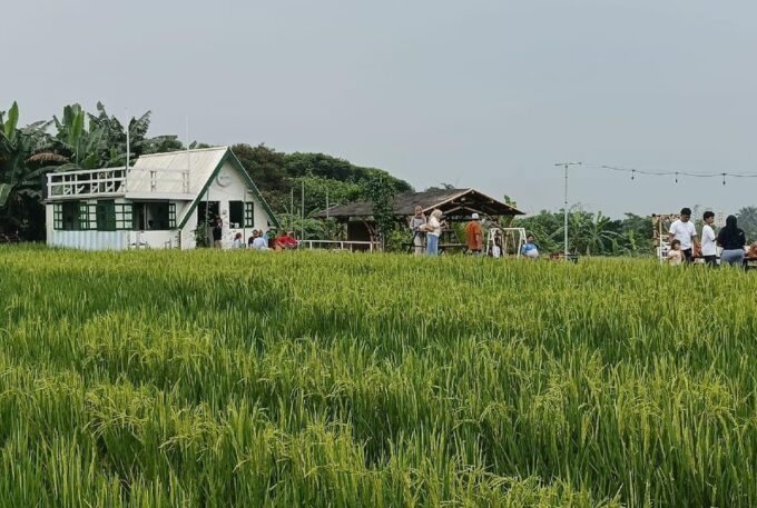 Jakarta Bogor Botanical Garden, Waterfall and Rice Terrace - Rice Plantation Lunch