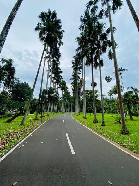 Jakarta: Botanical Garden, Waterfall, Village & Rice Field - Good To Know