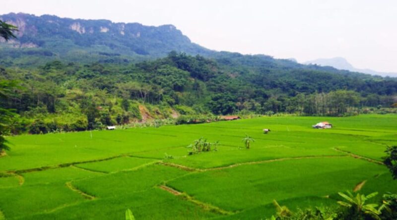 Jakarta: Botanical Garden, Waterfall, Village & Rice Field - Transportation and Inclusions
