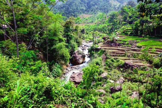 Jakarta: Botanical Garden, Waterfall, Village & Rice Field - Exploring Bogor Botanical Garden