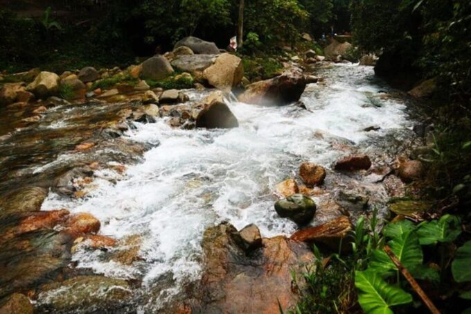 Jakarta: Botanical Garden, Waterfall, Village & Rice Field - Discovering Hidden Waterfalls
