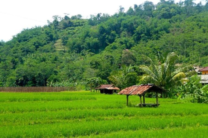 Jakarta: Botanical Garden, Waterfall, Village & Rice Field - Frequently Asked Questions