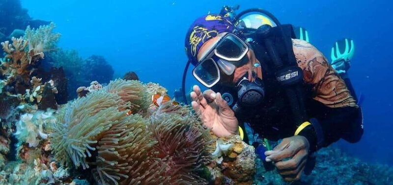 Jakarta: Diving at Thousand Islands Marine Park Day Trip - Key Points