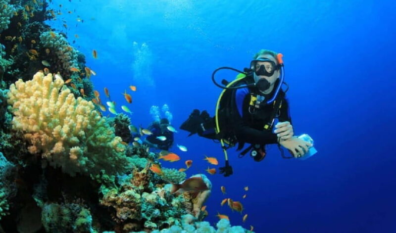 Jakarta: Diving at Thousand Islands Marine Park Day Trip - What’s Included and What’s Not