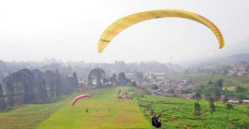 Jakarta: Paragliding on Top Mountain & Tea Plantation - Practical Details and Tips