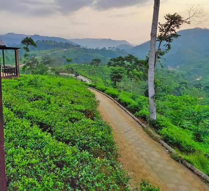 Jakarta Private Tour: Gunung Padang Site - Prabu Siliwangi Legend