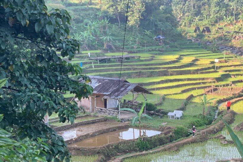 Jakarta: Sentul Pine Forest and Waterfall Trekking Tour - Pricing & Value  