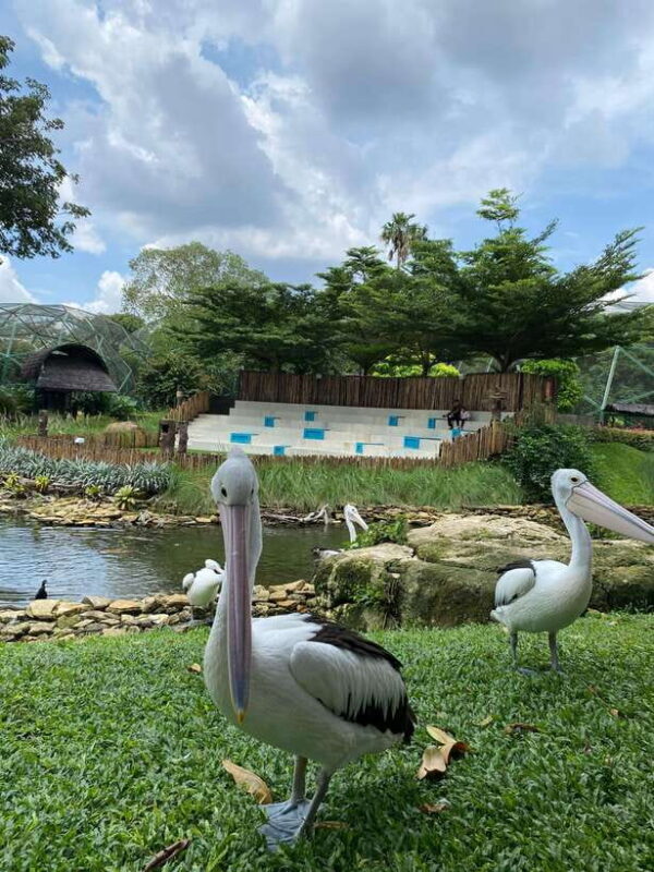 Jakarta: Setu Babakan and Taman Mini Indonesia Indah Tour - Key Points