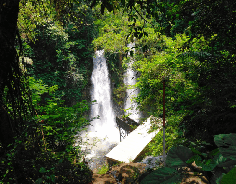 Jakarta: Tangkuban Perahu Volcano & Tea Plantations Day-Tour - Itinerary and Highlights