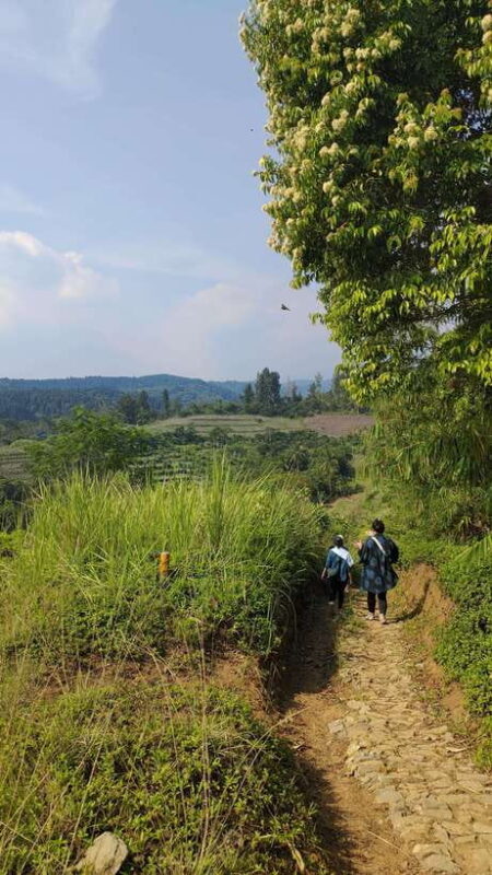 Jakarta to Bogor: Luhur Waterfall and Lake Lido Day Trip - Practical Tips for Travelers