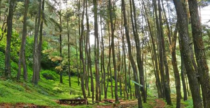 Jakarta Tour : Natural Views, Waterfall and Botanical Garden - Reservation Details