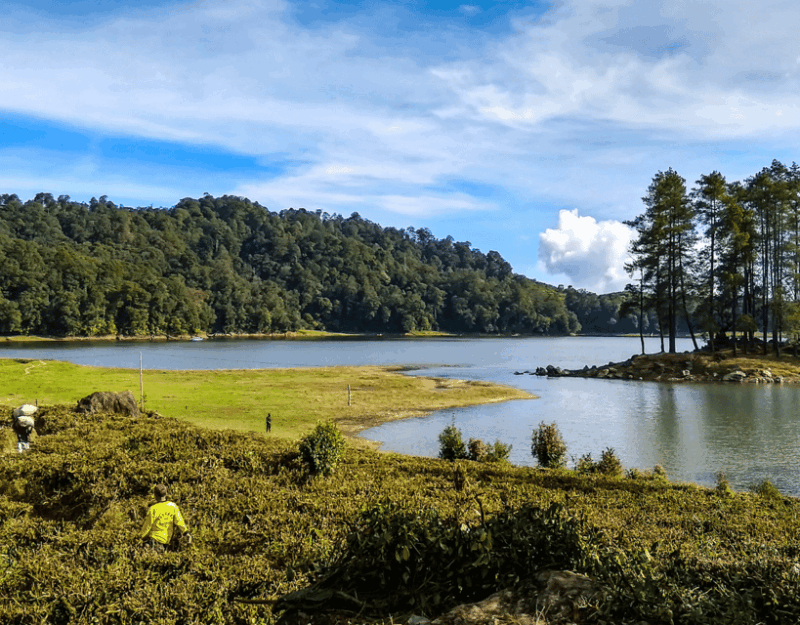 Jakarta: Volcanic White Crater Lakes & Tea Plantations Tour - Detailed Description