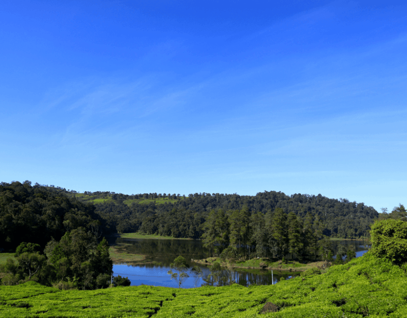 Jakarta: Volcanic White Crater Lakes & Tea Plantations Tour - Pickup Location
