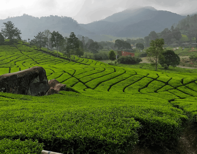Jakarta: Volcanic White Crater Lakes & Tea Plantations Tour - Travel to Kawah Putih