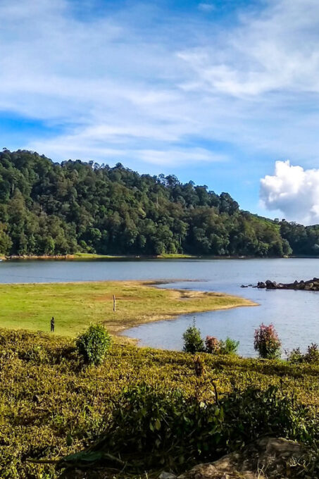 Jakarta: Volcanic White Crater Lakes & Tea Plantations Tour - Kawah Putih Crater Lake