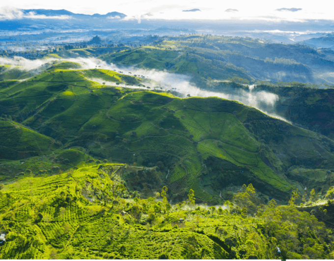 Jakarta: Volcanic White Crater Lakes & Tea Plantations Tour - Inclusions and Recommendations
