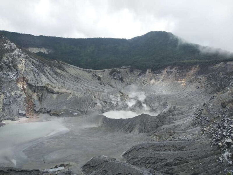 Jakarta: Volcano, Hot Spring, Tea, Rice Fields, &Coffee tour - Key Points