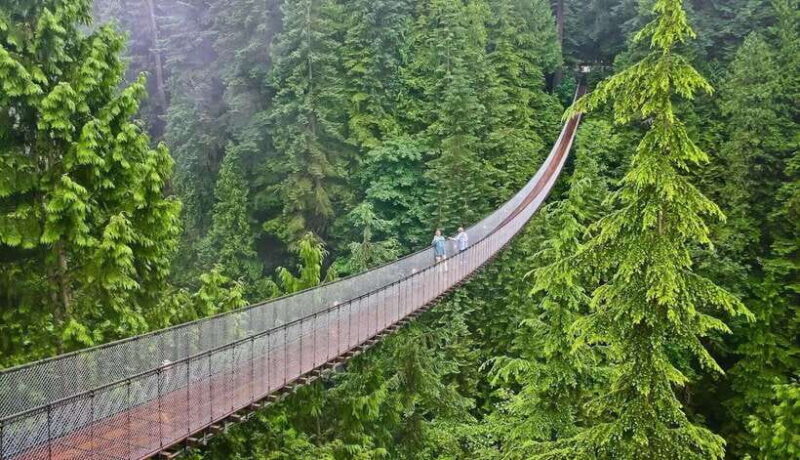 Jakarta: Volcano, Suspension Bridge, and Hot Spring Tour - Exploring Jakarta’s Outskirts: A Detailed Review
