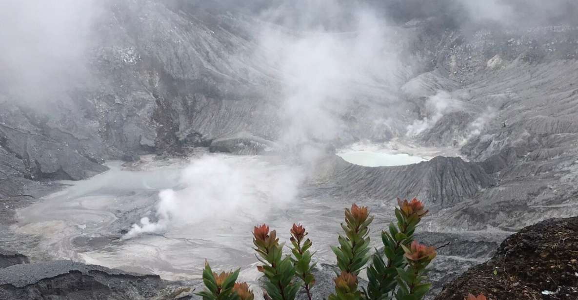 Jakarta: Volcano, Tea/Rice Fields, Hot Spring, Local Food - Exploring Bandungs Tea and Rice Fields