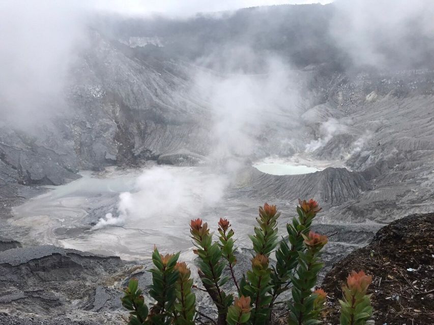 Jakarta: Volcano, Tea/Rice Fields, Hot Spring, Local Food - Indulging in Jakartas Hot Spring Bliss
