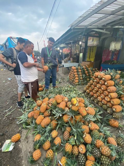 Jakarta: Volcano, Tea/Rice Fields, Hot Spring, Local Food - Group Size and Pickup Details
