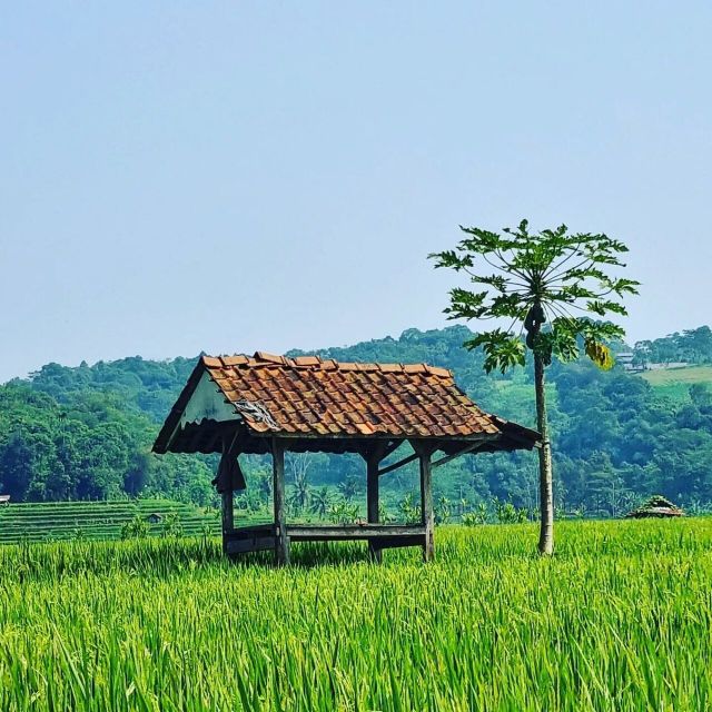 Jakarta: Volcano, Tea/Rice Fields, Hot Spring, Local Food - Frequently Asked Questions