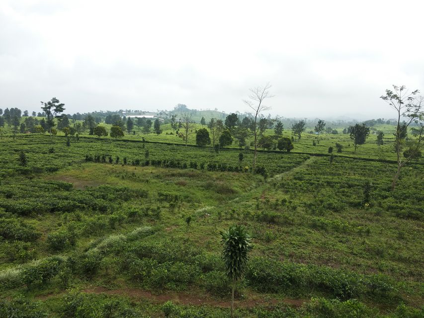 Jakarta: Volcano, Waterfall &Beautiful Local Village Tour - Pickup and Transportation