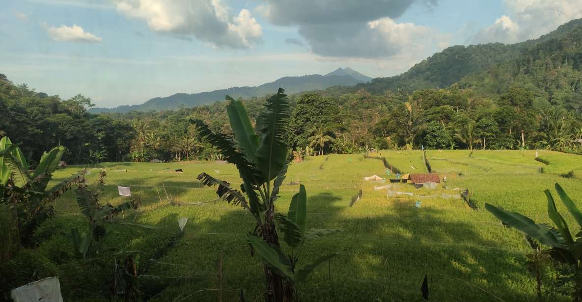Jakarta: Volcano, Waterfall &Beautiful Local Village Tour - Tangkuban Perahu Volcano