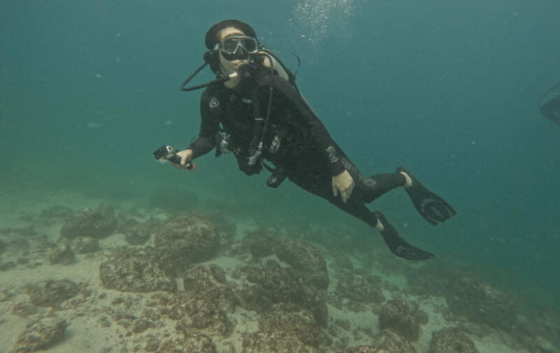 Jalisco: Scuba Diving at Los Arcos for Certified Divers - FAQs