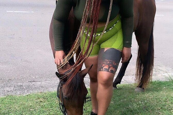 Jam west adventure park tour from Montego Bay - Who Should Consider This Tour?